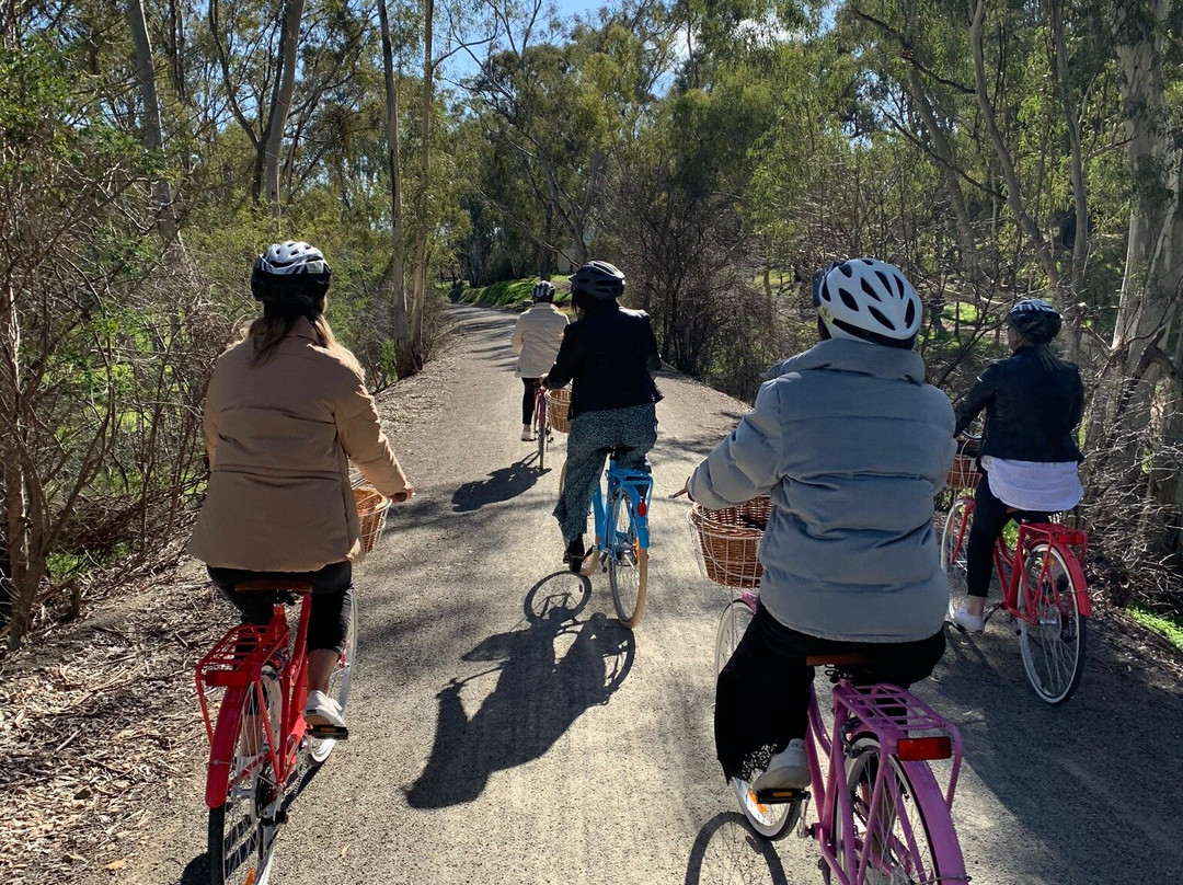 Clare Valley Cycle Hire-克莱尔必去景点