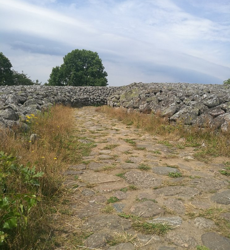 The Kivik grave-Kivik必去景点
