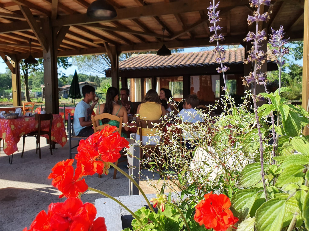 Hotel Restaurant Dehiou主图