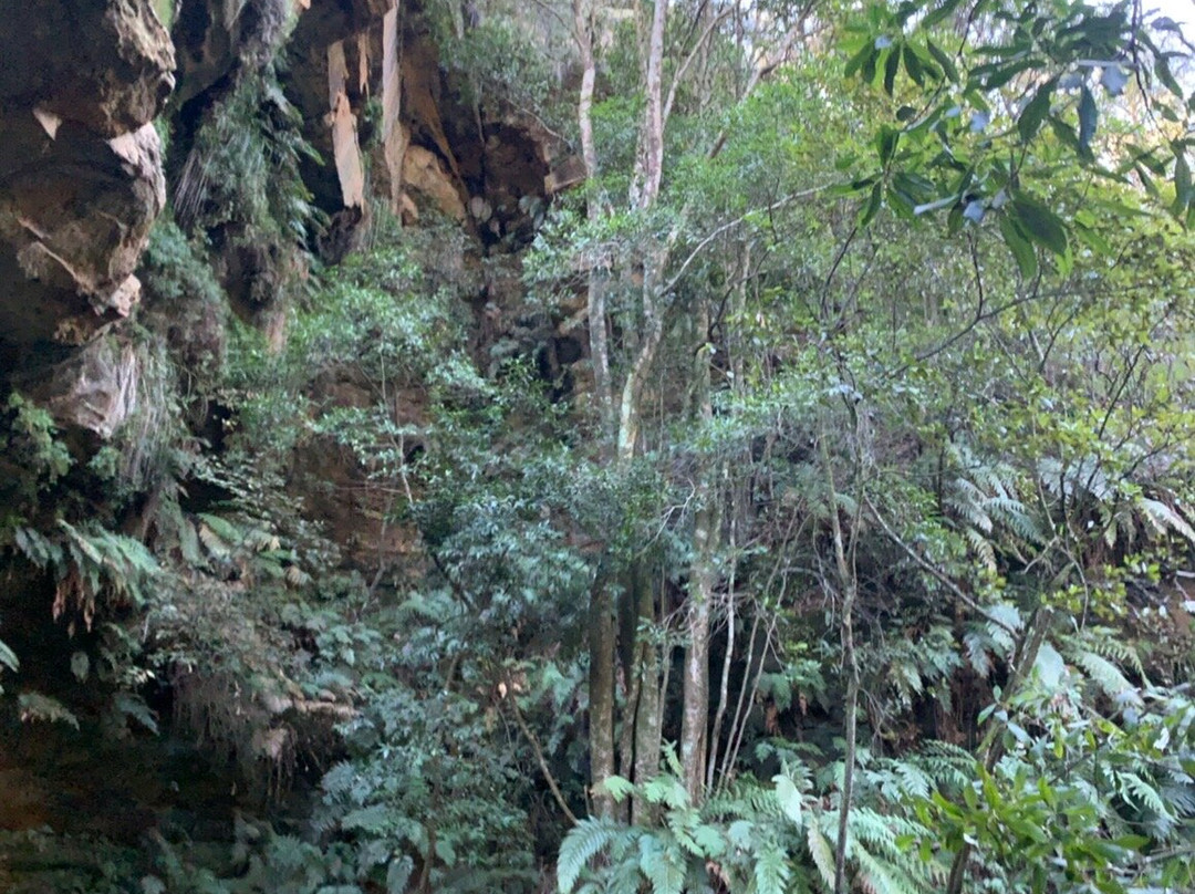 Leura Cascades景点图片