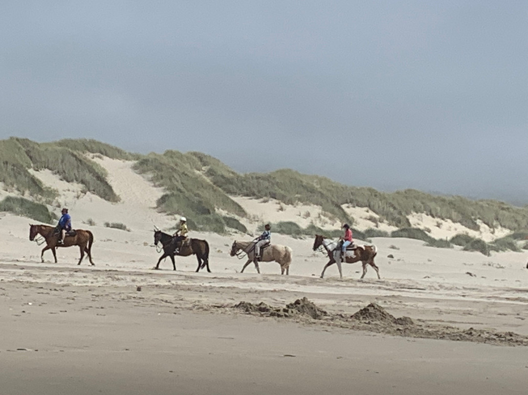 Nehalem Bay State Park-Nehalem必去景点