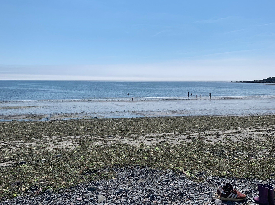 Pond Cove Beach and Nature Preserve景点图片