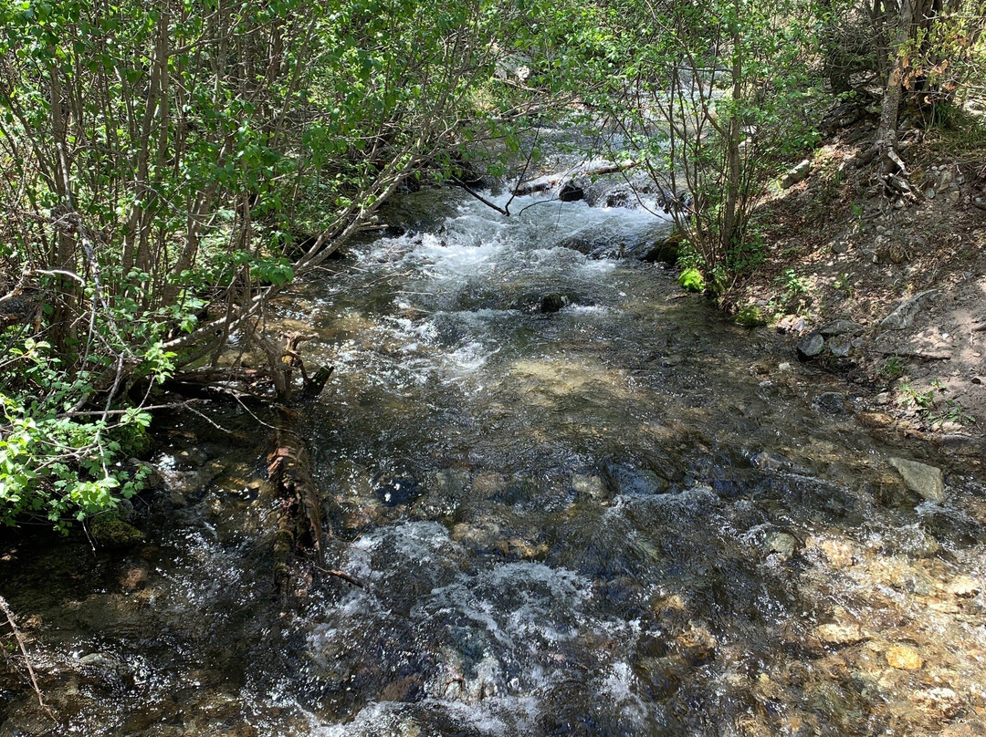 Columbine Trail-红河必去景点