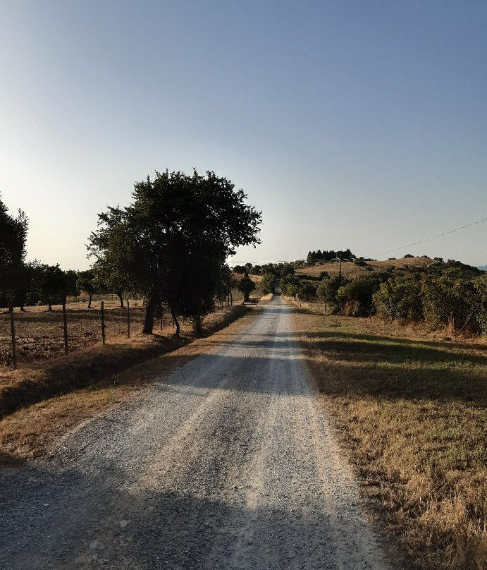 Agriturismo Fontelisa