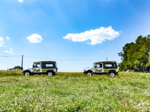 Algarve Safari Tours-拉各斯必去景点