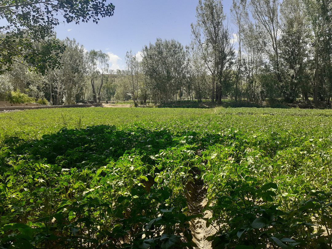 Highland Hotel主图