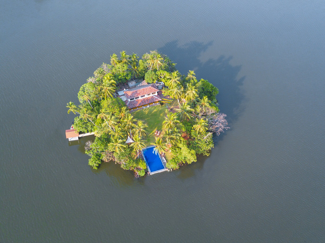 The Island on Bolgoda
