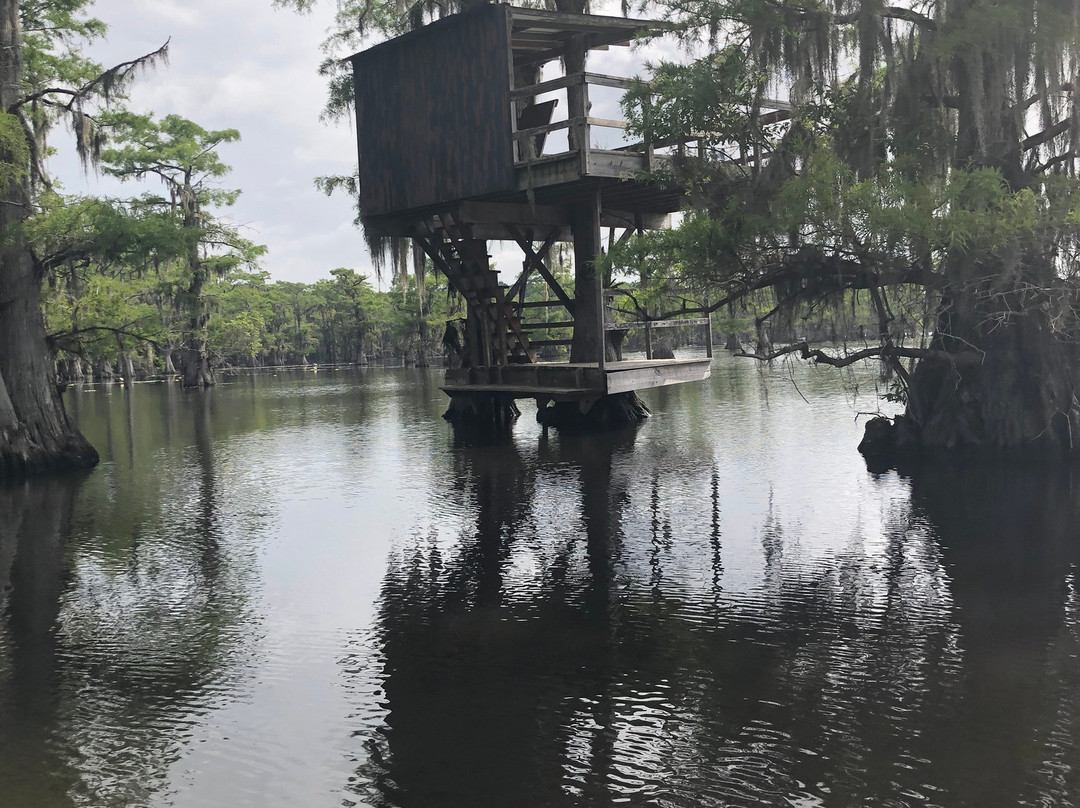 Billy Carter's Go-Devil Tours-Uncertain必去景点