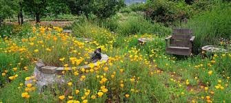Sonoma Garden Park景点图片