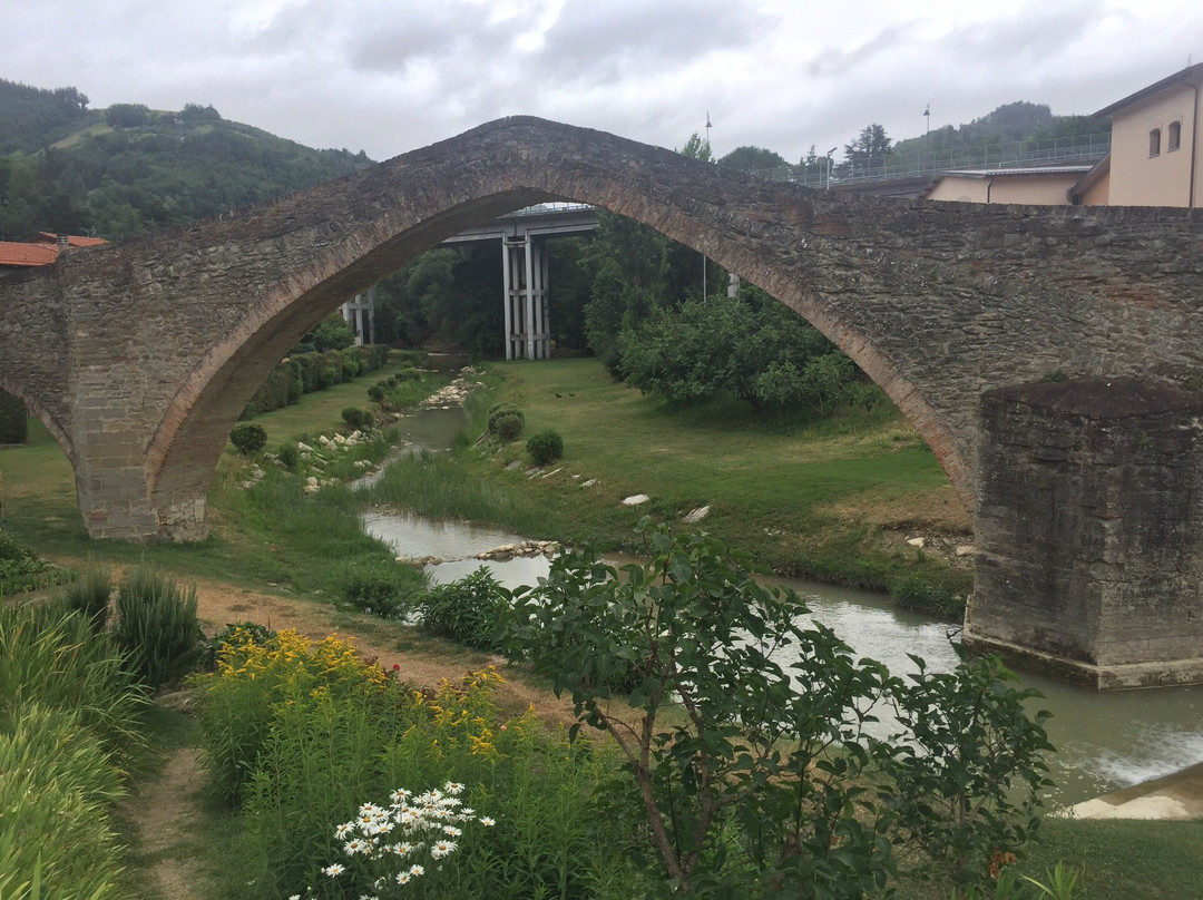 Centro Storico di Modigliana景点图片