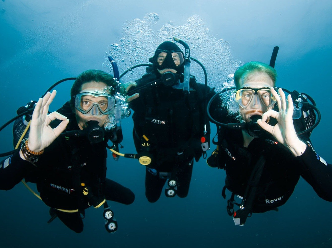Tec Diving in Mauritius景点图片