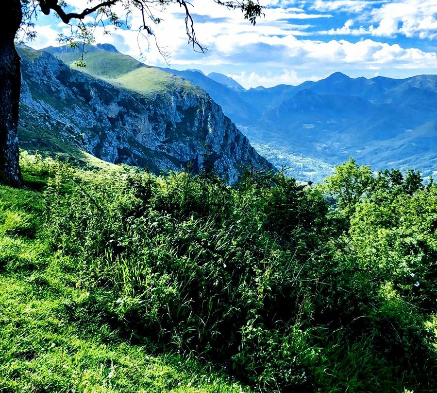 Apartamentos Rurales Balcón Real主图