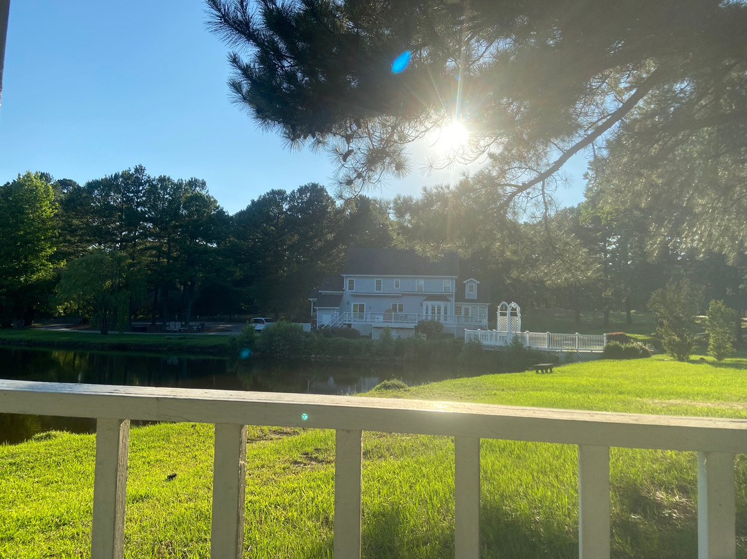 B and B's Country Garden Inn主图