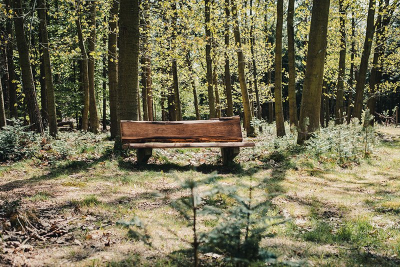 TAGUNGSHOTEL Jesteburg主图