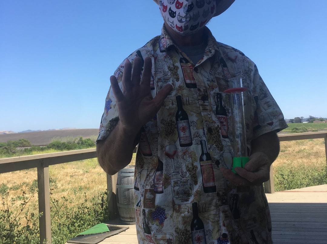 Autry Cellars-圣路易斯-奥比斯波必去景点