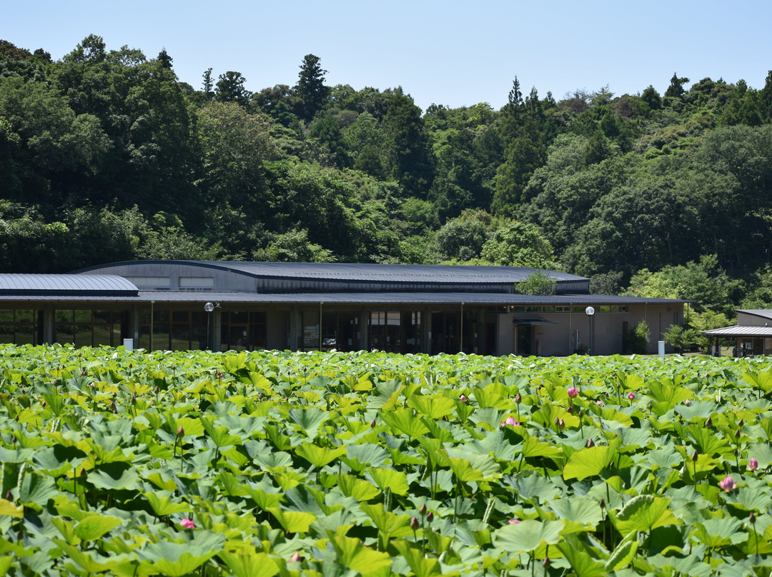 Kojindani Historical Park-出云市必去景点