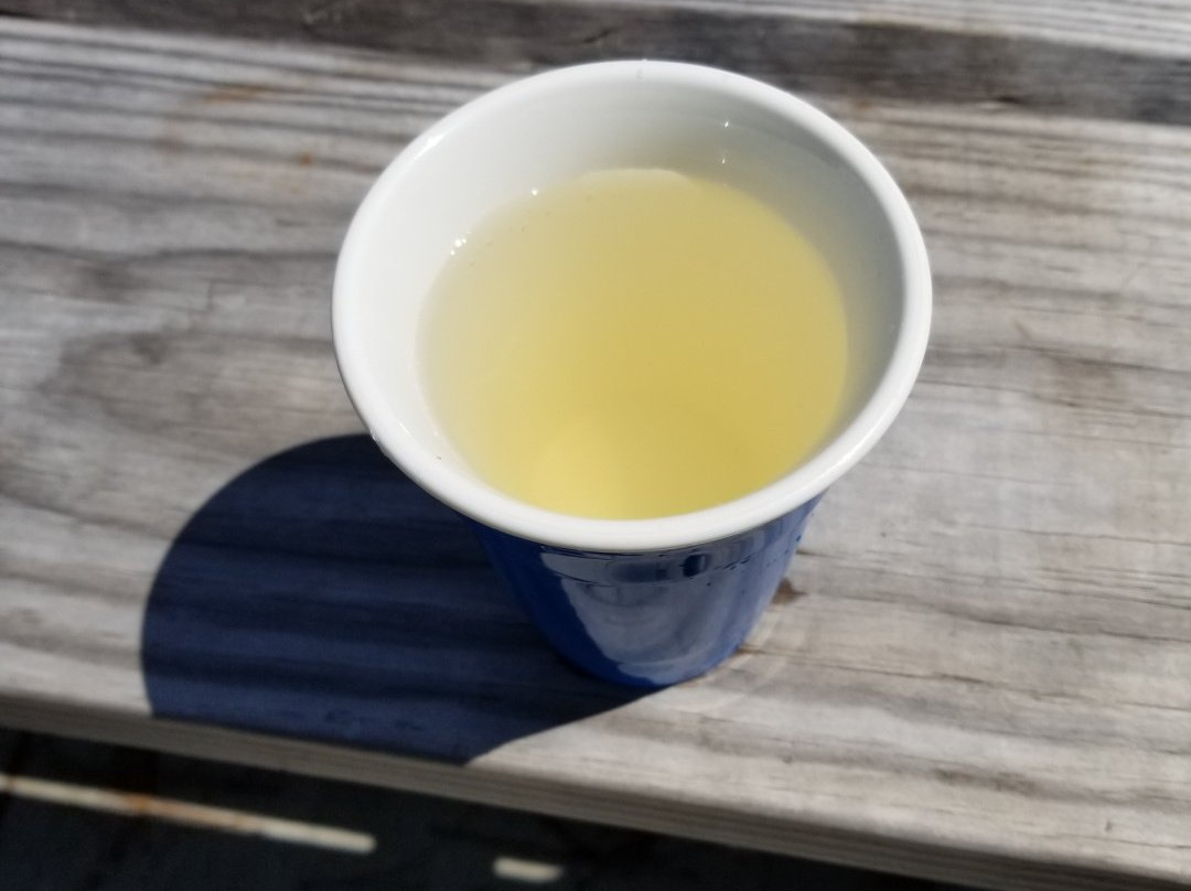 Treasure Beach RV Park and Campground主图