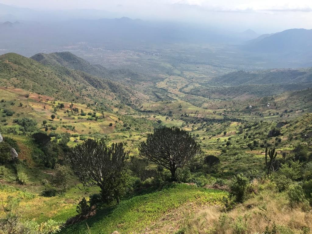 MamboViewPoint主图