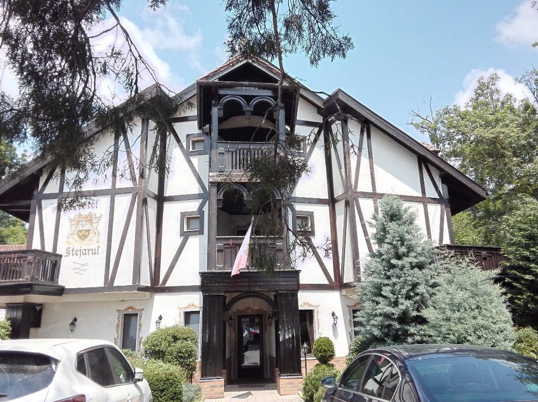 Hotel Restaurant Stejarul主图