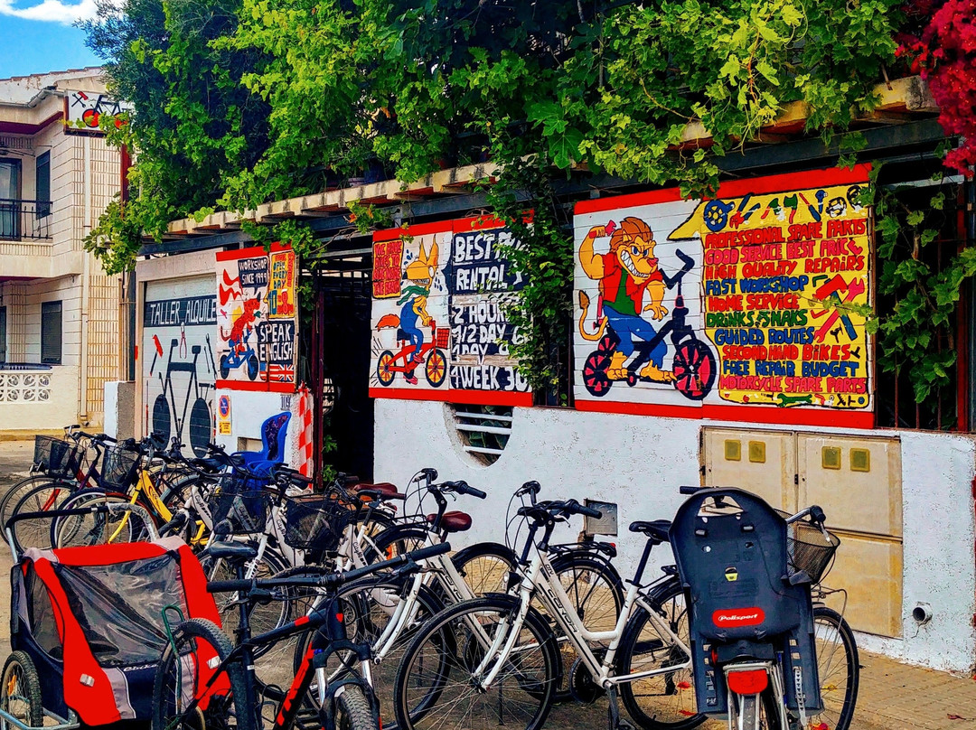 ALQUILER DE BICICLETAS LO PAGAN-Lo Pagán必去景点