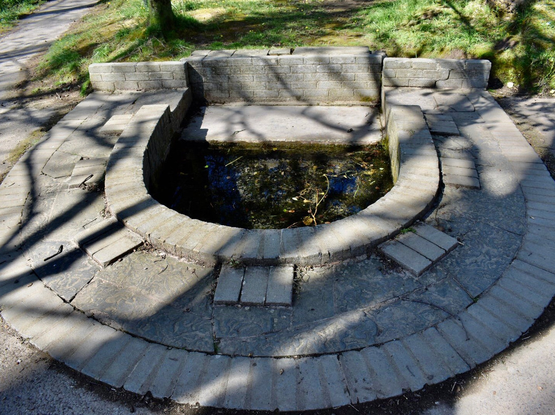 Saint Fanahan's Well-科克必去景点
