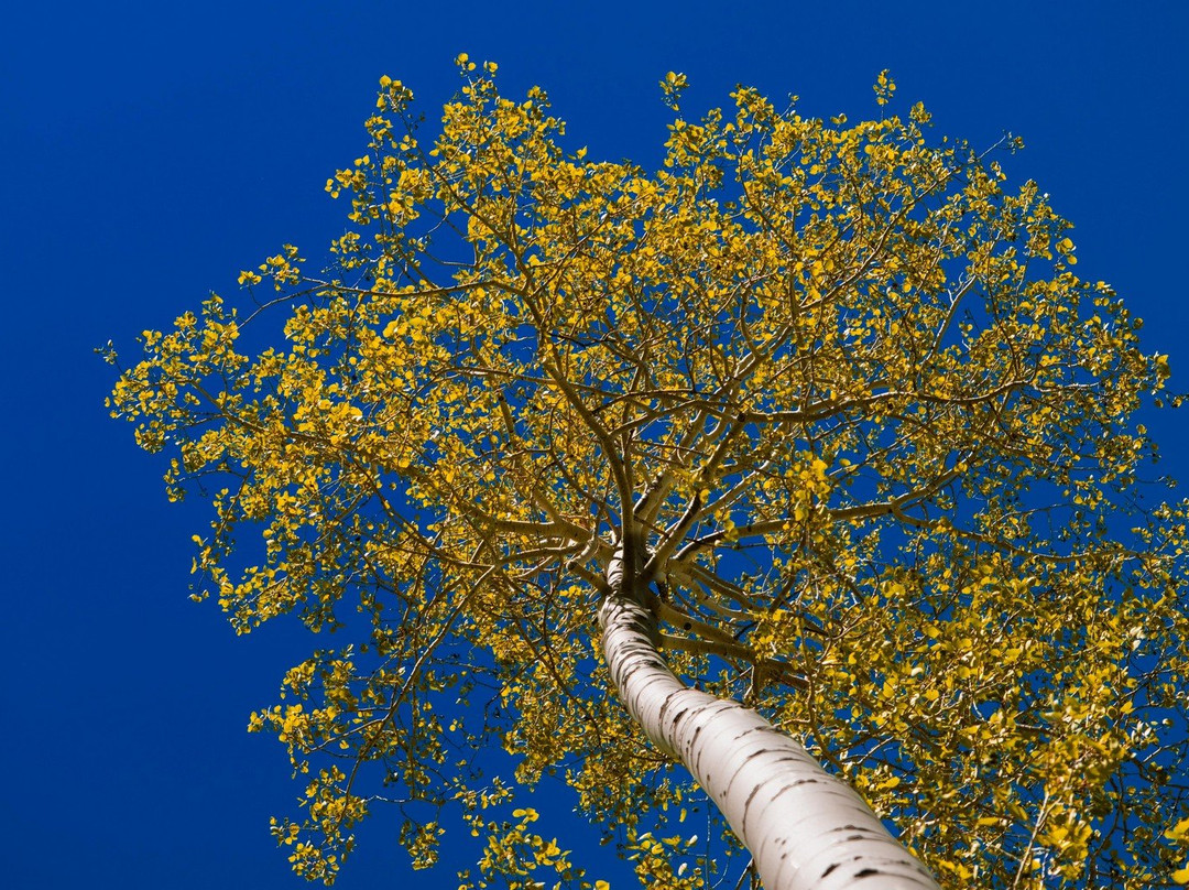 Wasatch Photo Tours - Tours and Lessons-帕克城必去景点