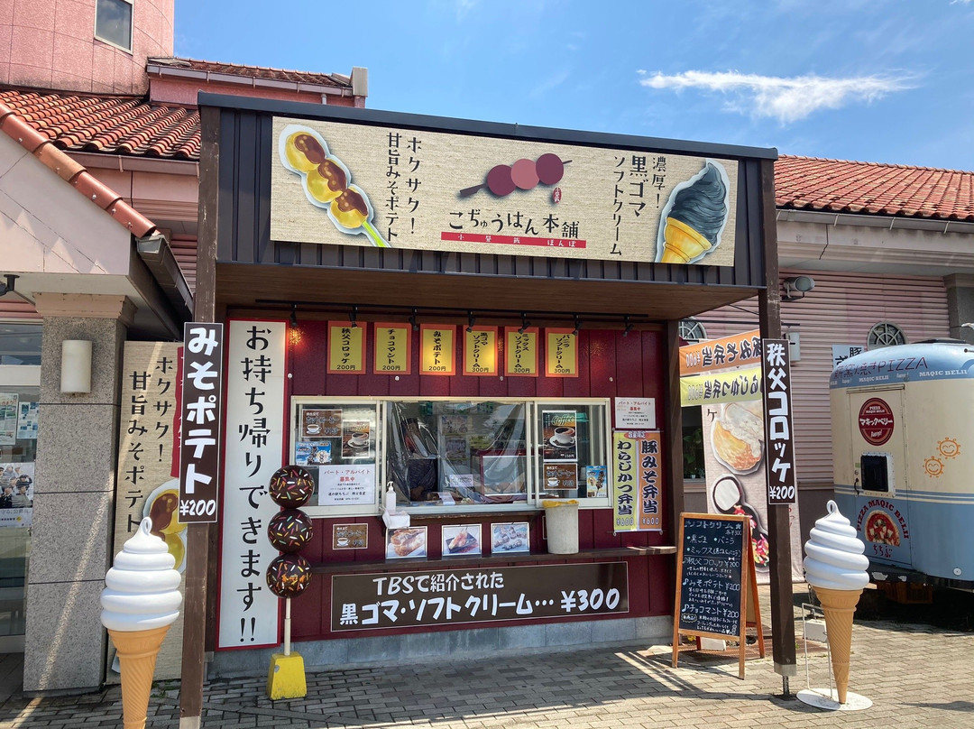 Michi-no-Eki - Chichibu-秩父市必去景点