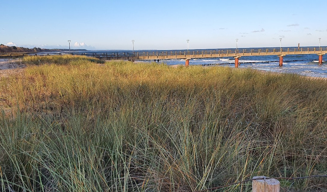 Seebrucke Zingst景点图片
