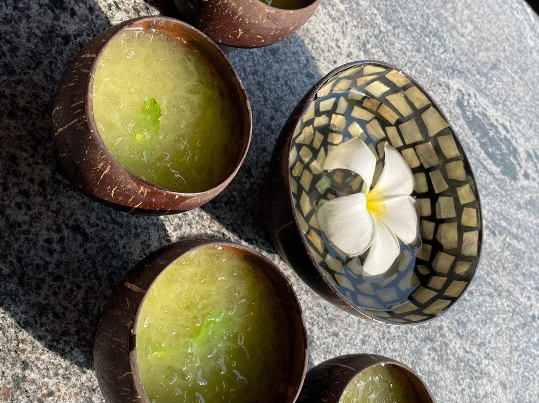 Jeevaka Villa and Ayurveda Retreat - Jeeva Villa主图