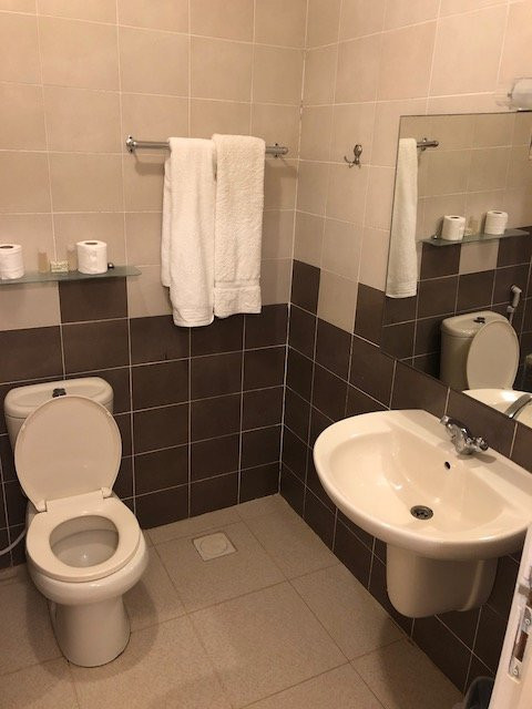 橄榄枝酒店主图