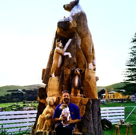 Toora Dog Tree-Toora必去景点