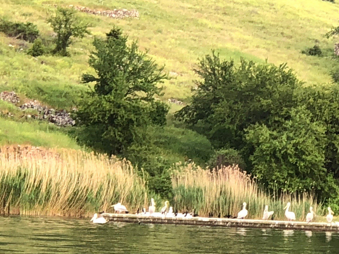 Φύση και Πολιτισμός  /  Wildlife and Culture景点图片