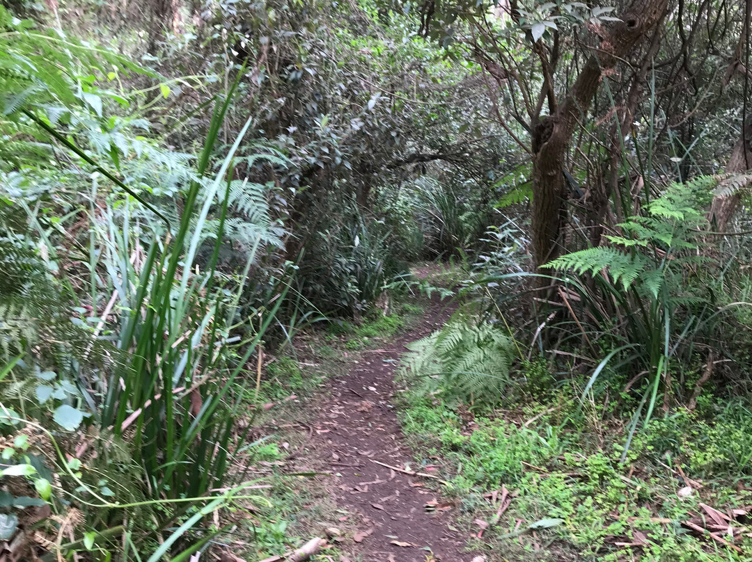 Gembrook Park-Gembrook必去景点