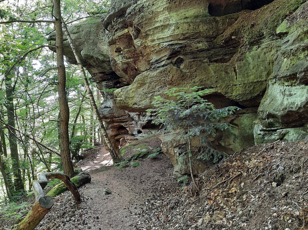 Felsenweg 6 - Teufelsschlucht景点图片
