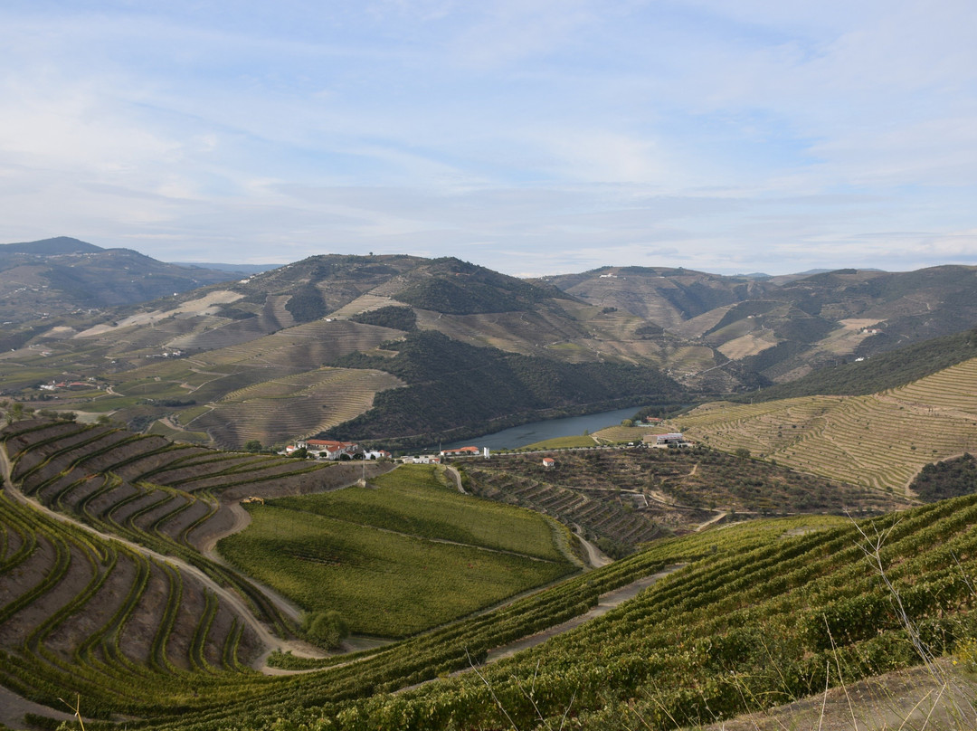 WinePor - Wine & Cultural Tours-波尔图必去景点