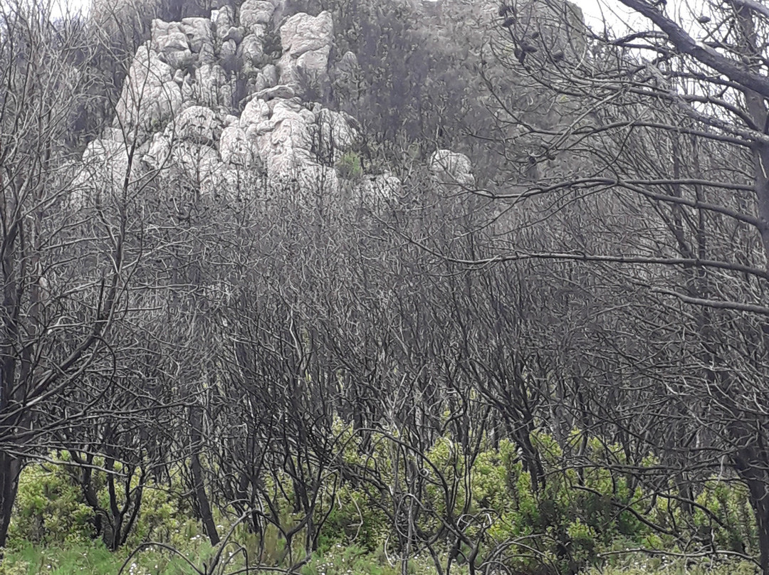 Rocca della Verruca景点图片