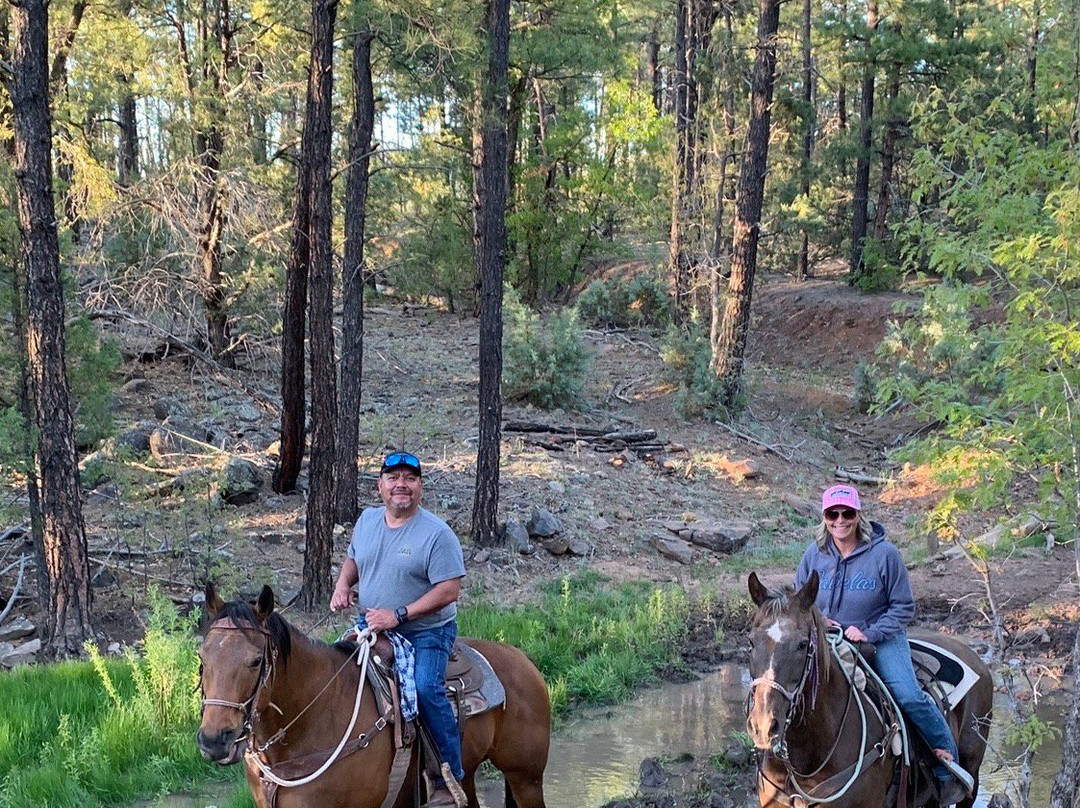 Porter Mountain Stables-Pinetop-Lakeside必去景点