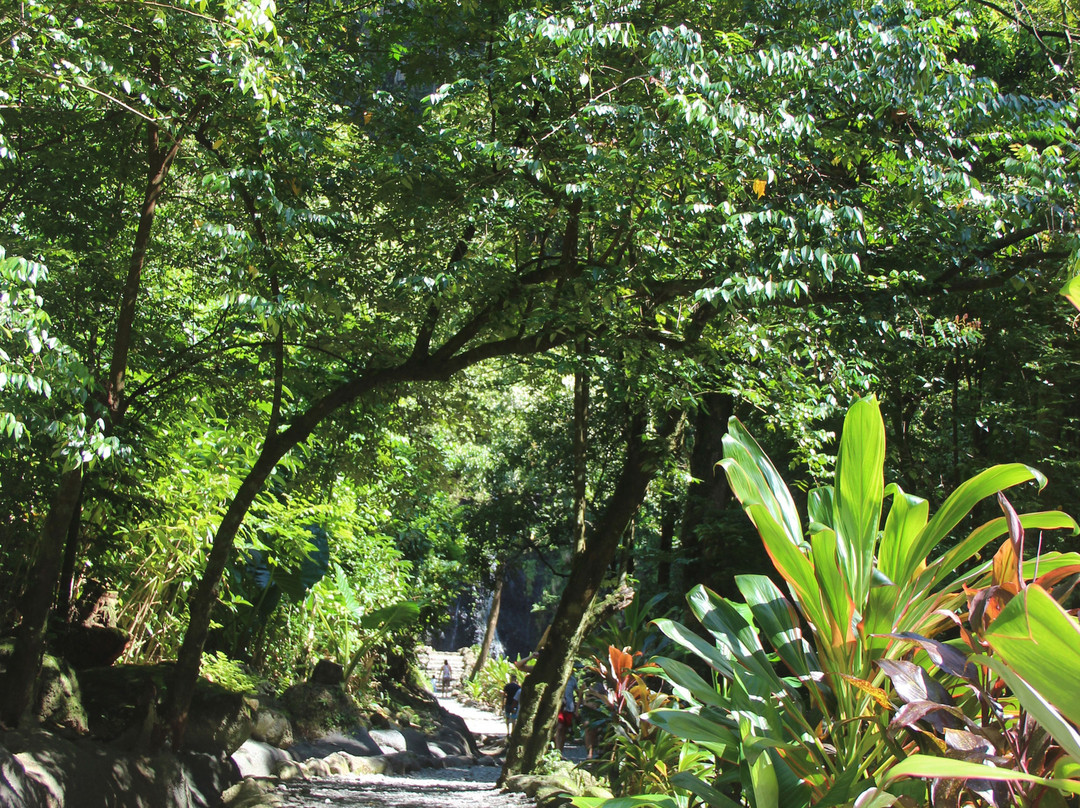 Faarumai Waterfalls-阿鲁埃必去景点