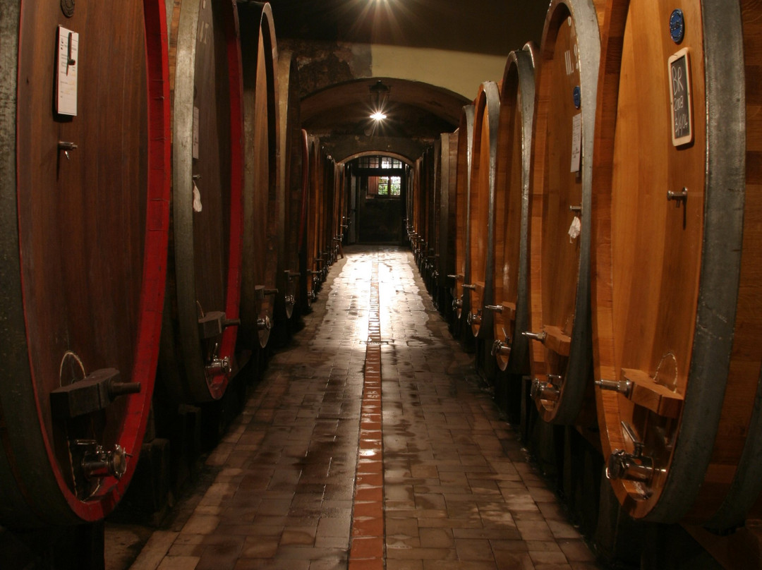 Tenuta di Capezzana-卡尔米尼亚诺必去景点
