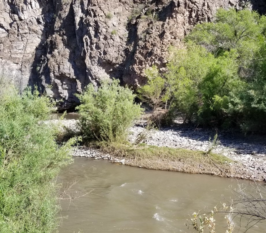 Gila Box Riparian National Conservation Area-Safford必去景点