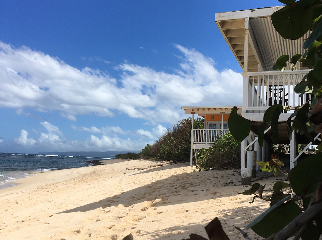 莫库雷阿海滩-瓦亚禄必去景点