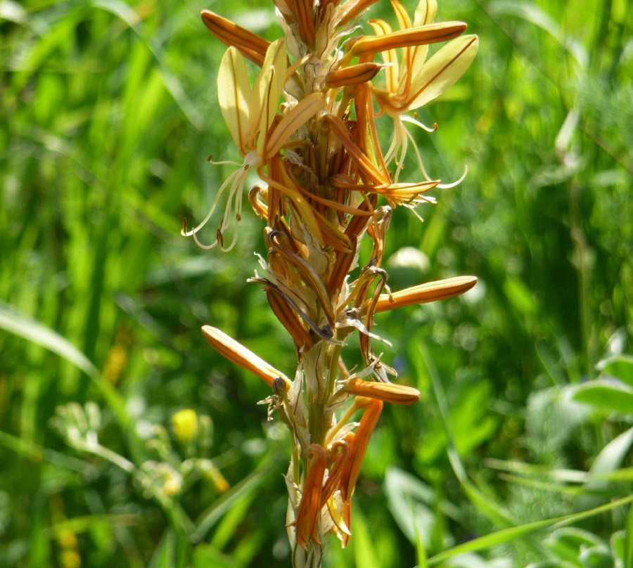 Nahal Hashofet-Yokneam Moshava必去景点