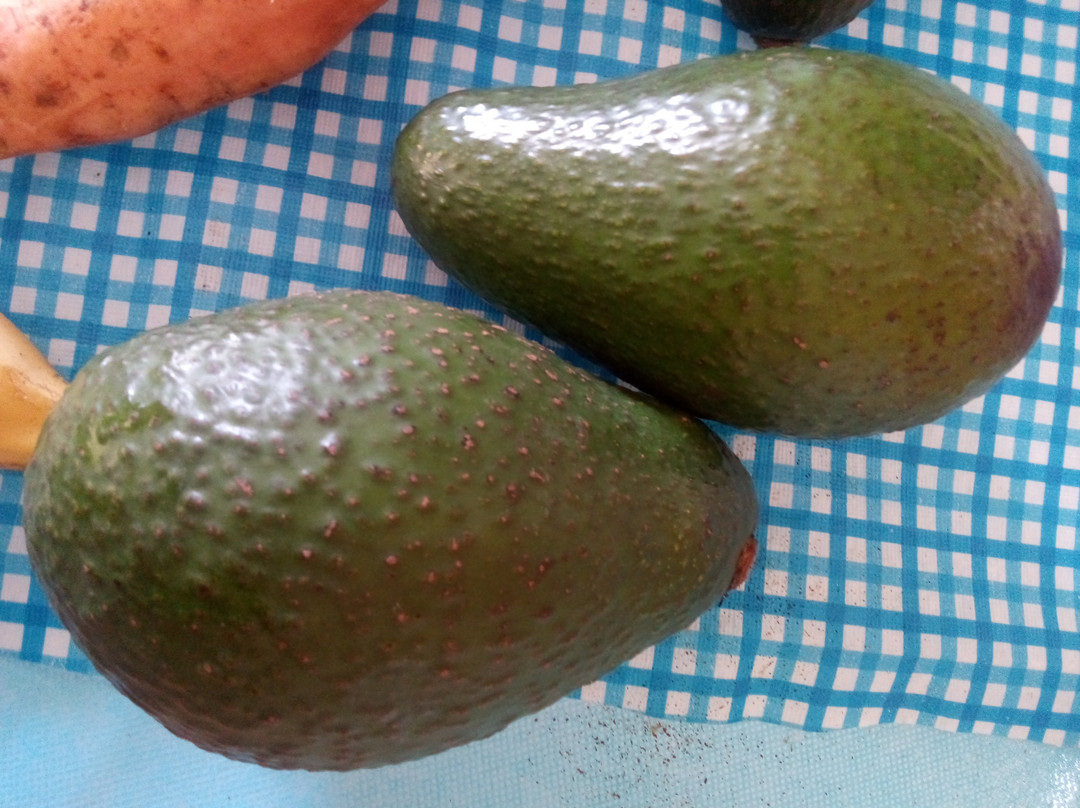 Humpy Nut World- 阿瑟顿必去景点