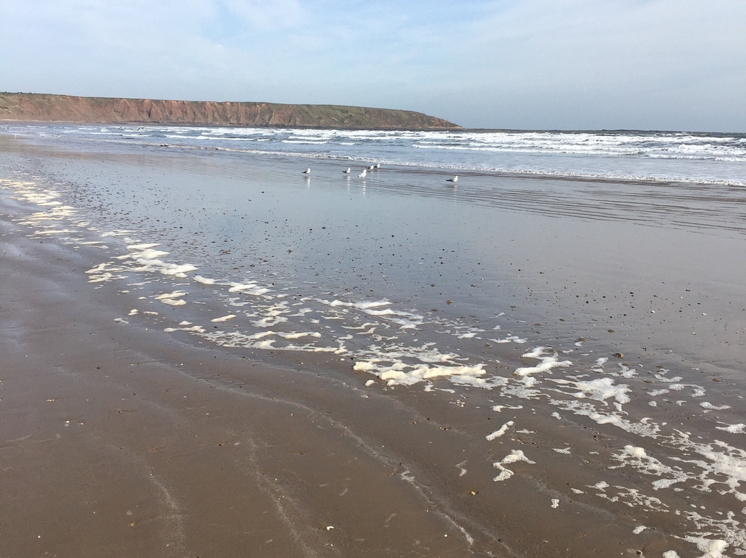 Filey Beach景点图片