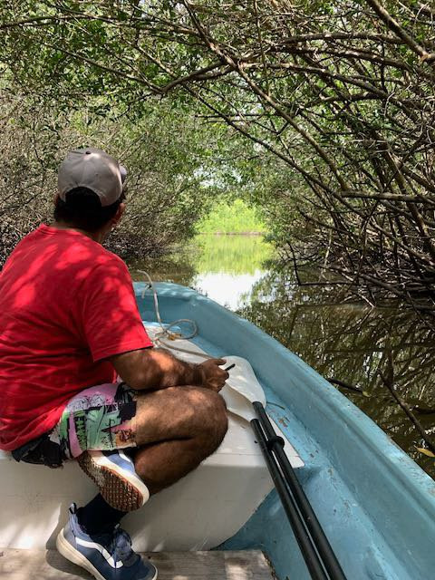 Turtle Tours Mazatlan-马萨特兰必去景点