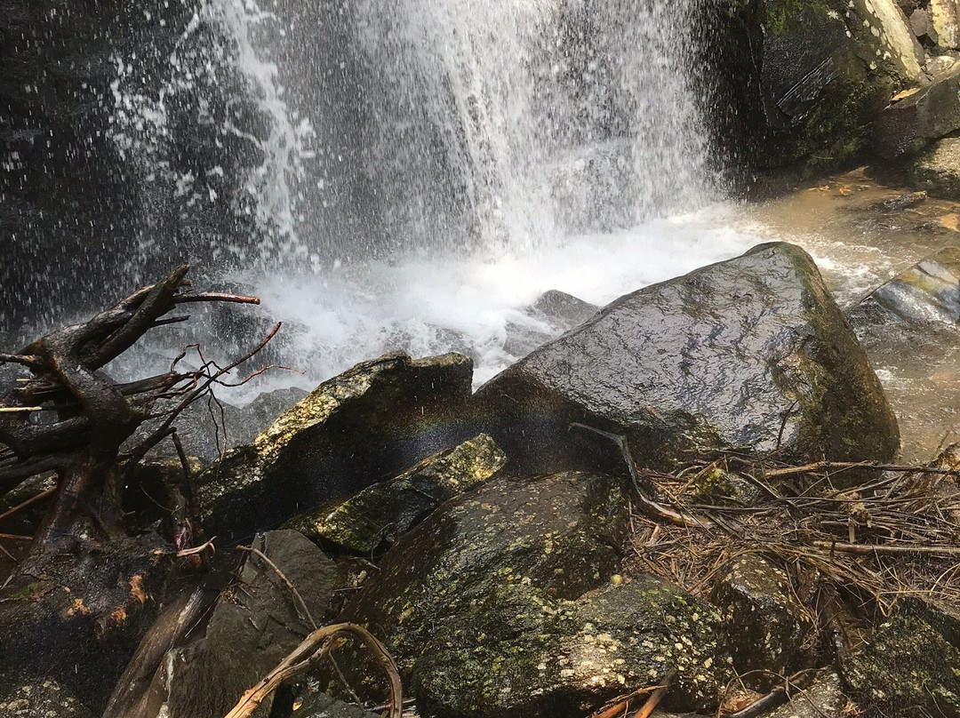 Cachoeira dos Tres Tombos-伊利亚贝拉必去景点