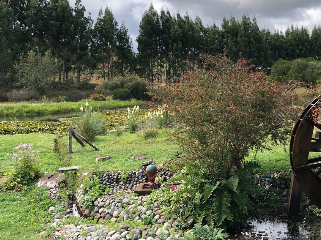 Museo Antonio Felmer-巴拉斯港必去景点