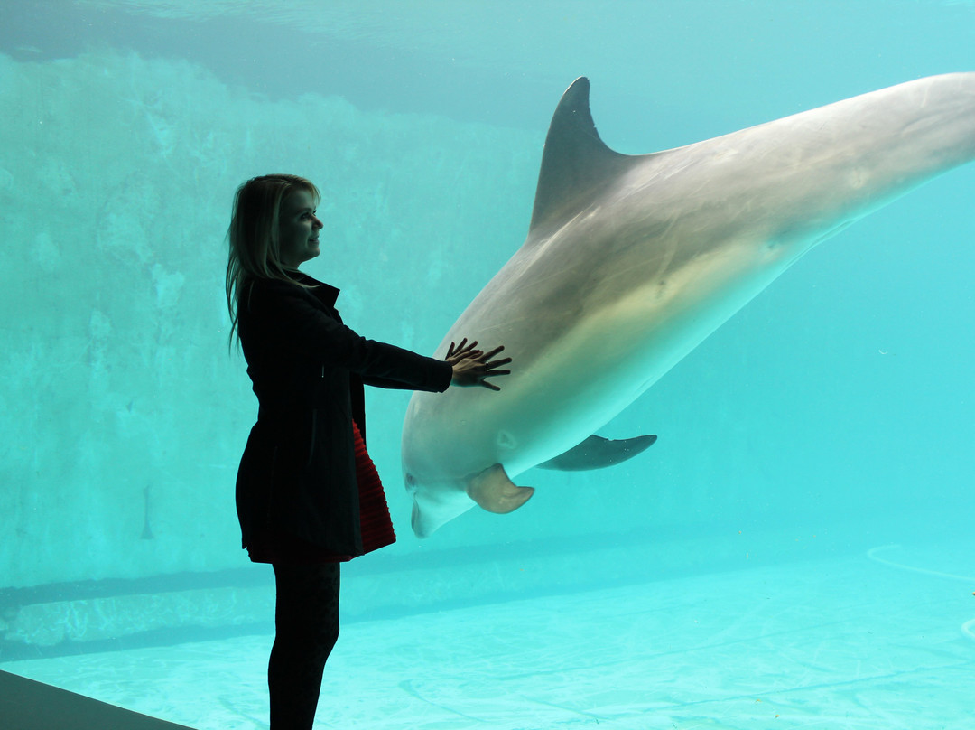 Geoje Sea World-巨济市必去景点