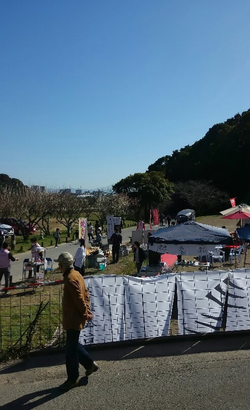 Sakamoto Hachiman Shrine-太宰府市必去景点