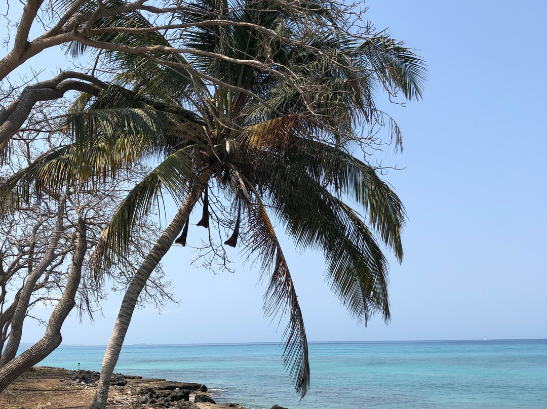 Playa Puntilla-Isla Baru必去景点